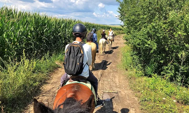 Horseback Riding Tour In Brasov - Ride Through Fields, Forests & Hills