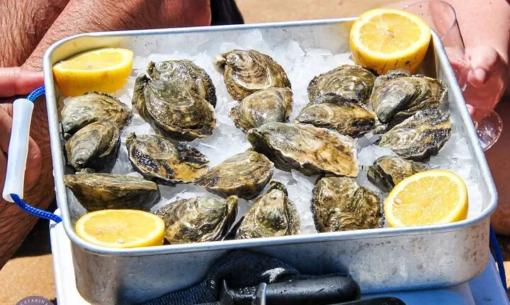 Oyster Sensations