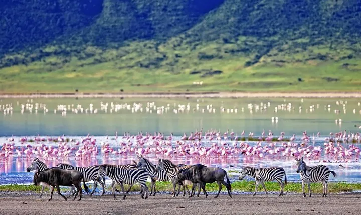 3-Day Safari to Tarangire, Ngorongoro & Kilimanjaro Foothills
