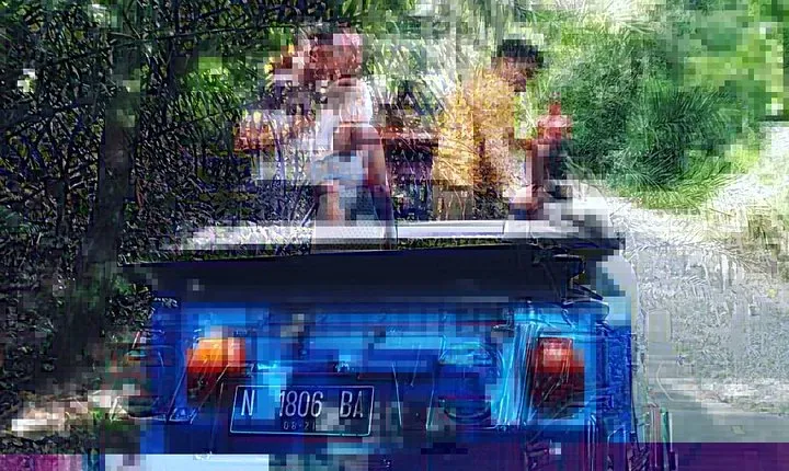 1 Hour VW Explore Ubud - Ubud VW Tour