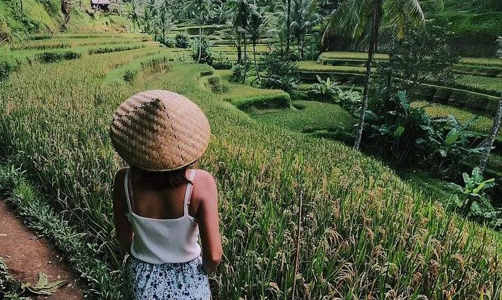 Highlights of Ubud: Nature, Rice Terrace, Waterfall, Temple and more