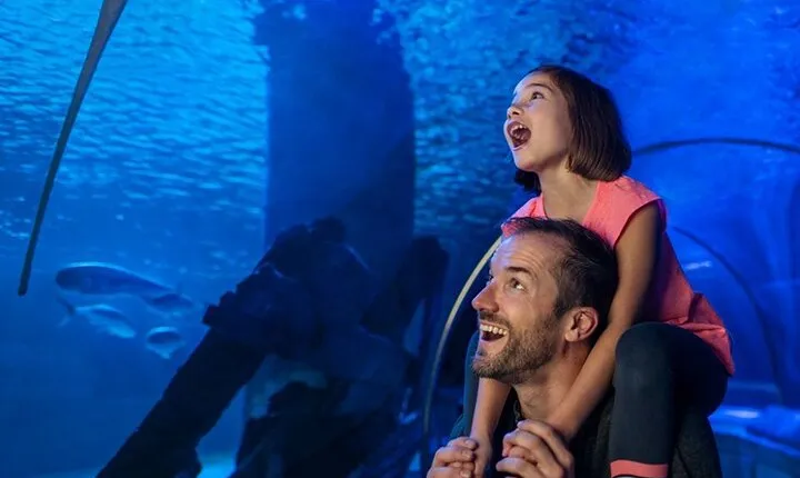 SEA LIFE Aquarium San Antonio Admission Ticket
