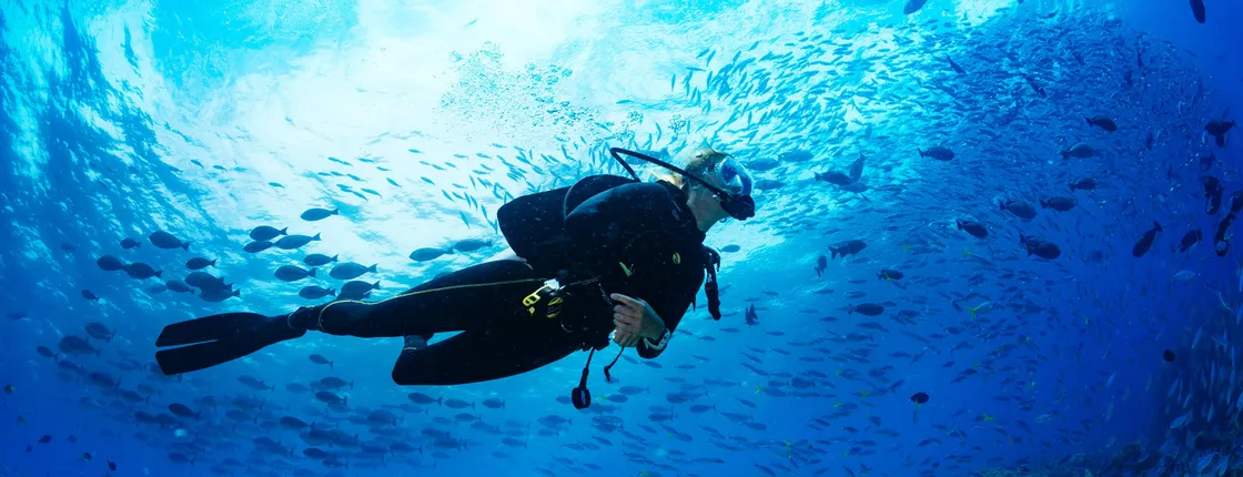 Zanzibar diving experiences from the North coast