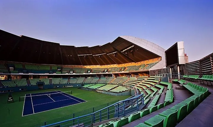 Private Transfer between Nanjing Olympic Stadium and City Hotel