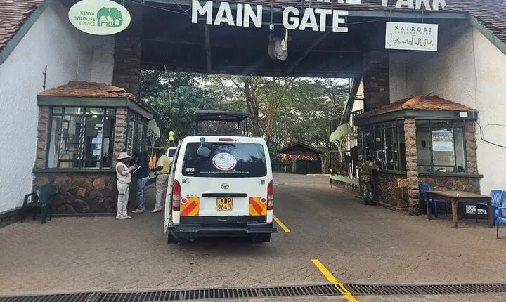 Nairobi National Park Game Drive With free Pick Up