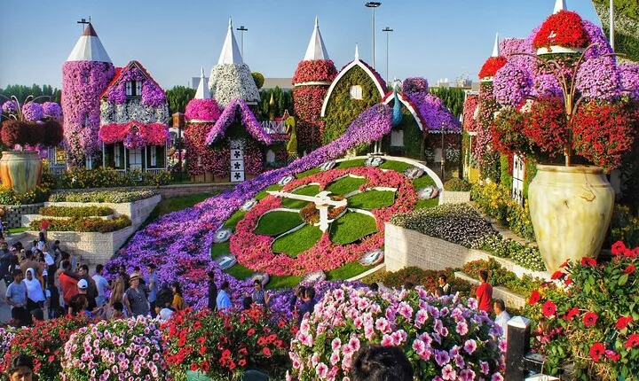 Dubai Miracle Garden Ticket with Transfer