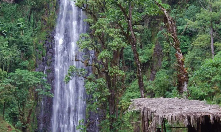 Day Trip Coffee Tour and Materuni Waterfalls