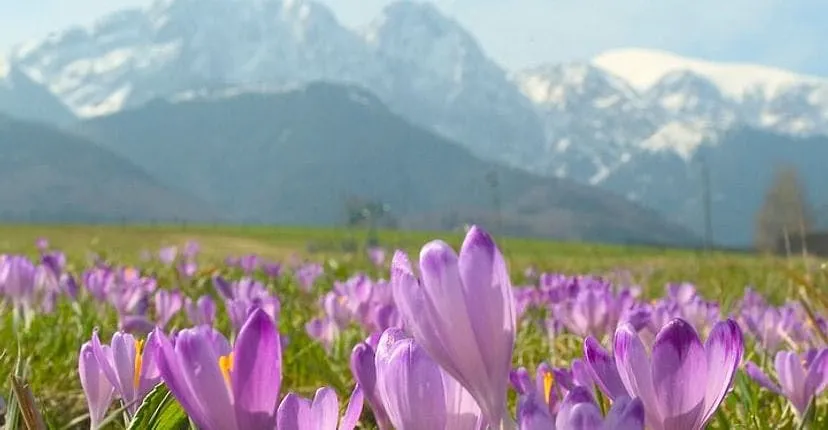 Zakopane and Tatra Mountains day tour from Krakow