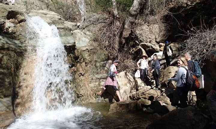 Nature Walk/Hike Tour near Disneyland: ID plants & wildlife