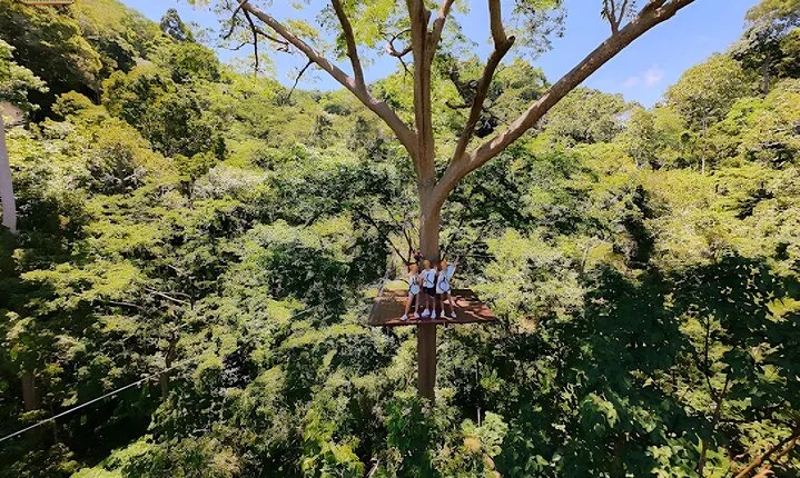Longest Seaview Zipline 42 Platform in Phuket