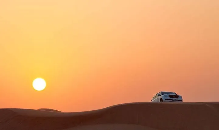 Sunrise Early Morning Safari