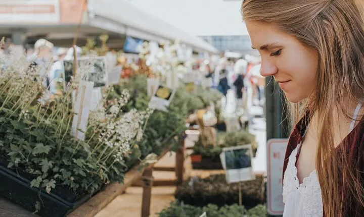 Private Gastronomic tour with tasting in West Hollywood