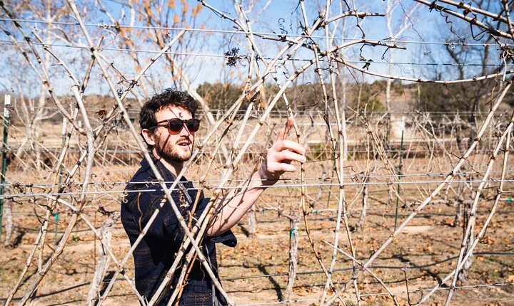 Winemaker Tour & Barrel Tasting