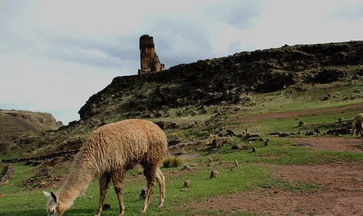 Sillustani 1/2 Day Tour