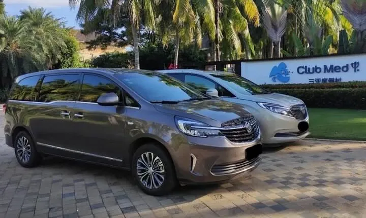 1-Day Sanya Customized Itinerary Charter Car Service