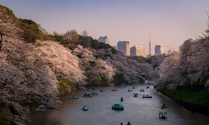 Tokyo Photography Masterclass - Private Photography Lesson