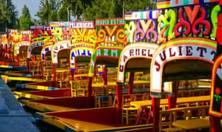 Xochimilco Tour: Coyoacan and Frida Kahlo Museum in Mexico City