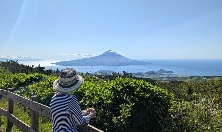 Customizable Full Day Private Tour of Faial