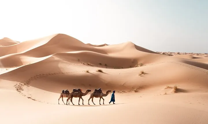 3-Day Desert Tour: Marrakech to Fes via Merzouga