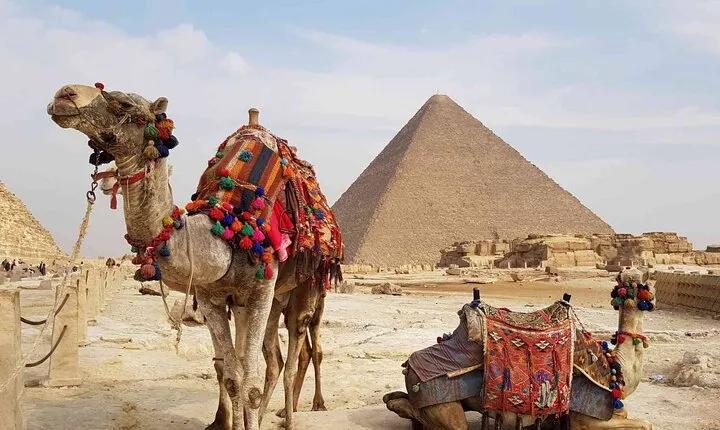 Giza Pyramids and Memphis & Sakkara From Alexandria Port