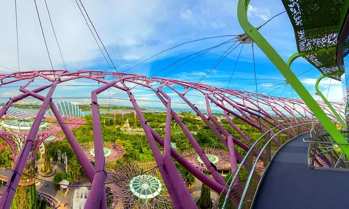 SuperTree Flower dome Cloud Forest Garden by the Bay singapore