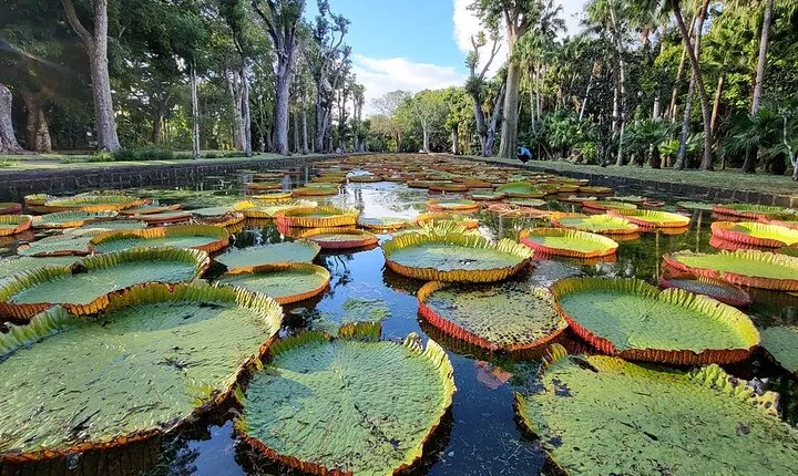 Discover North Mauritius: Private & Tailored Full-Day Adventure 