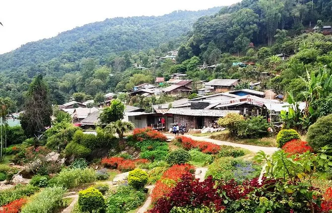 Join tour Half Day Doi Suthep & Hmong Hill Tribe Village from Chiang Mai