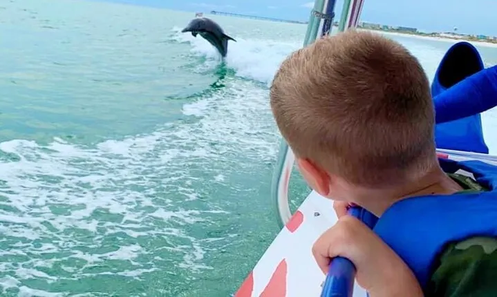 Dolphin-Watching Speedboat Cruise in Destin Harbor
