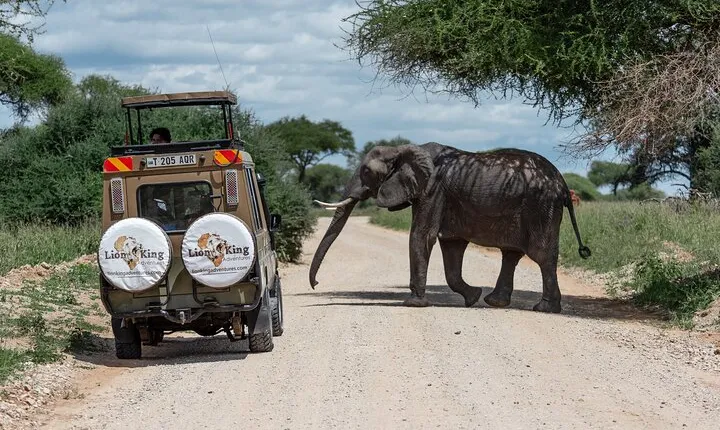 Private 6-Day Tarangire Manyara Crater and Serengeti with Mid-Range Lodges