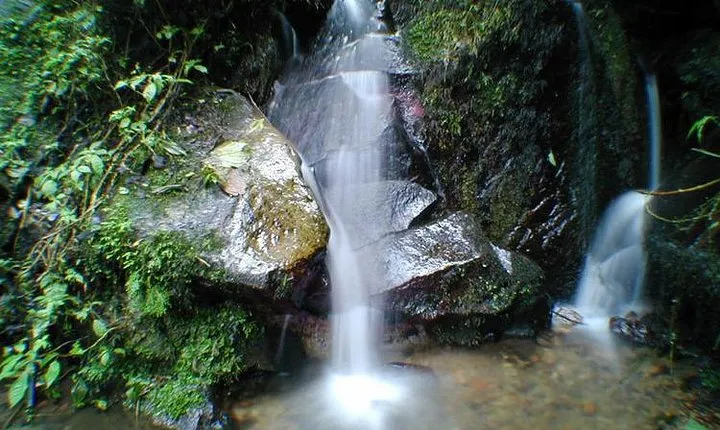 Ecological Walk in Chicaque Natural National Park