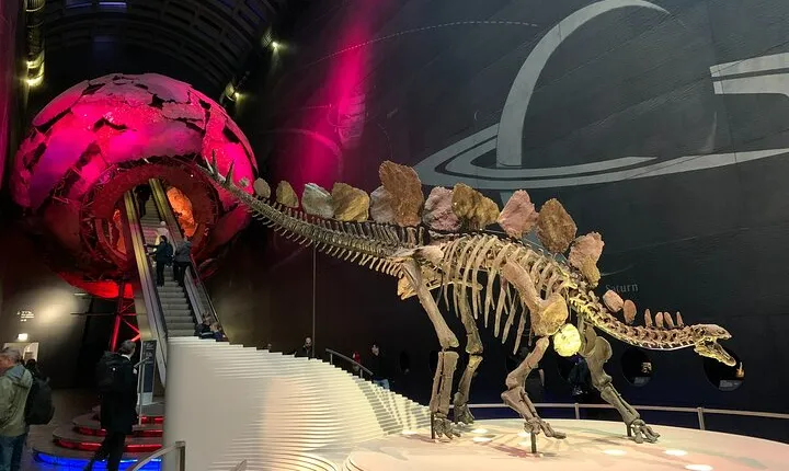 Private Guided Tour of Natural History Museum - Skip the Line