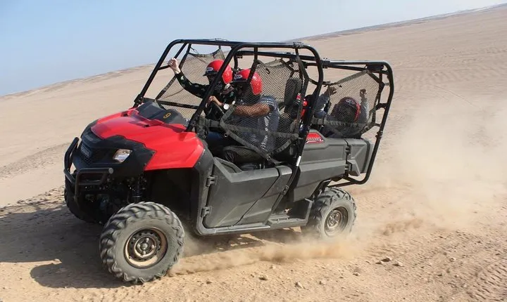 buggy Car Safari Tour & Camel Ride With Transfer - Marsa Alam