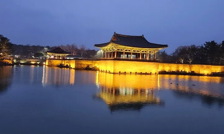 Gyeongju private tour with an official tour guide (Unesco)