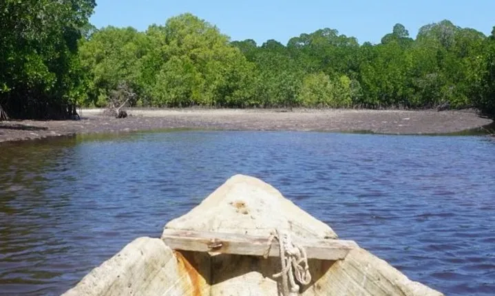 Mida Creek Boardwalk and Canoa Ride