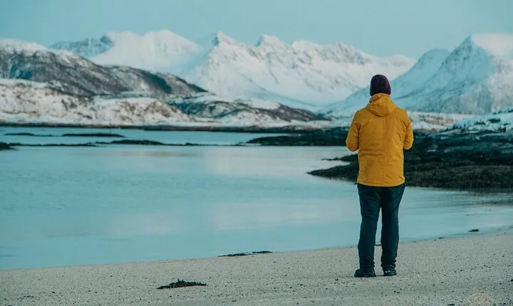 Arctic Fjord Roadtrip with Scenic Picnic from Tromso