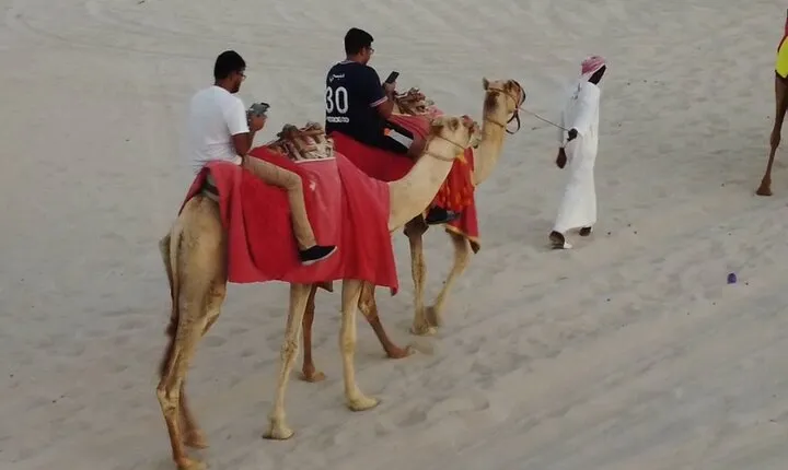 Private-Doha Half Day Safari/ Quad Bike and Camel Ride included