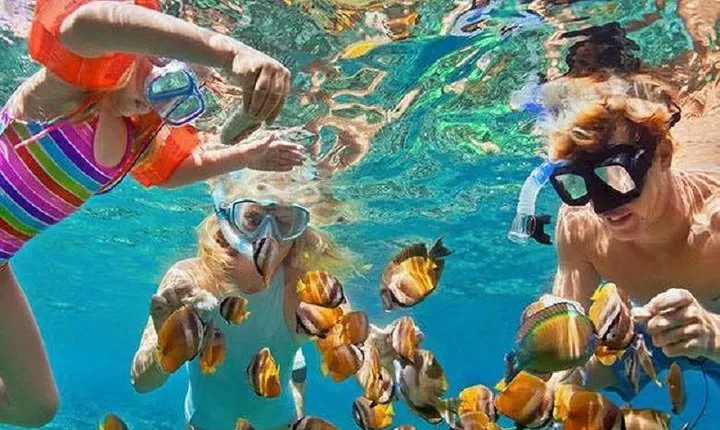 Bali Snorkeling at Blue Lagoon with Transport and Lunch
