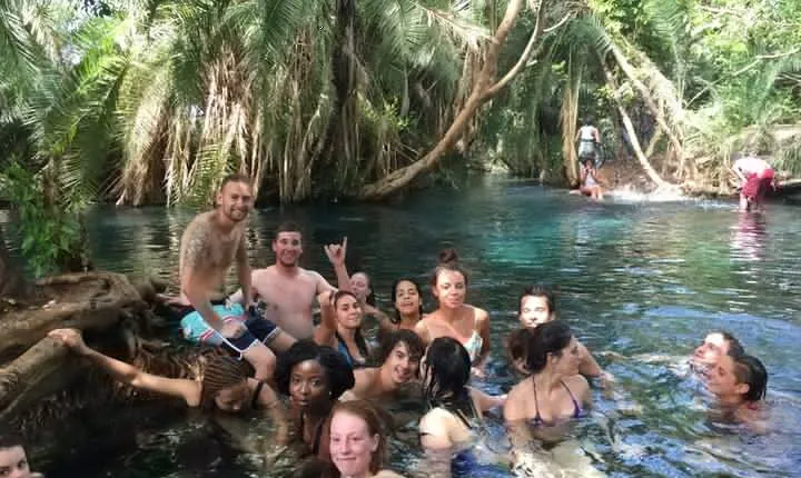 Materuni Village Waterfalls, Coffee Tour & Kikuletwa Hot Springs