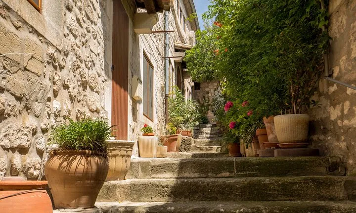 Private Guided Tour of Saint-Remy, Arles, and Les Baux