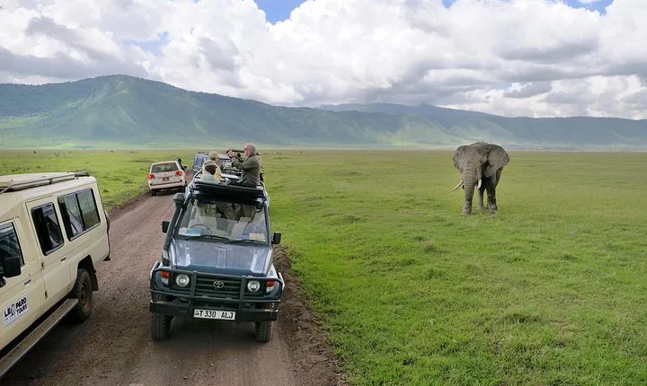 2-Day Lodge Safari with Hotel Pickup in Arusha