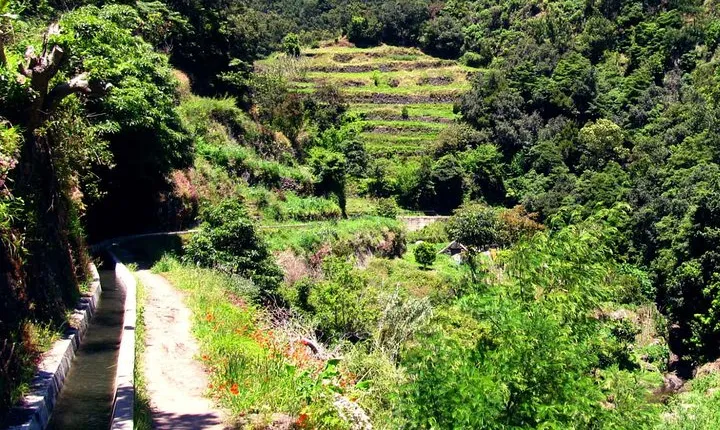 Levada dos Maroços