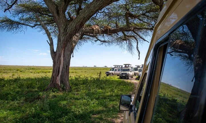 3 Days Group Safari Serengeti & Ngorongoro