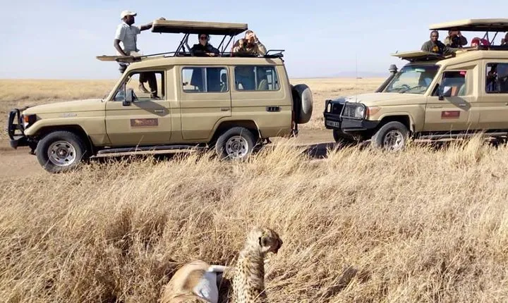 8 Days Tanzania Wildlife Safari Experience