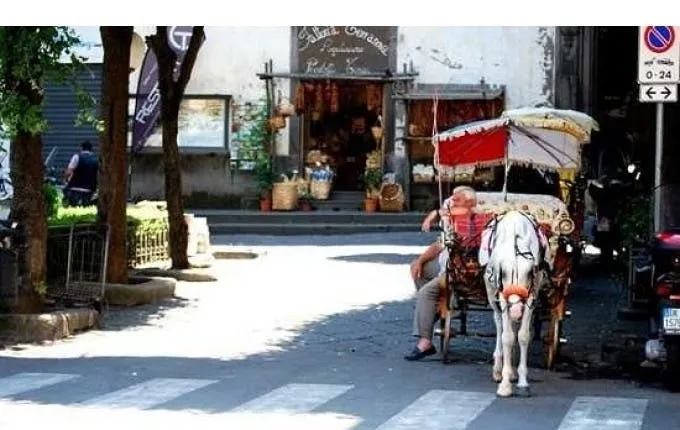 Pompeii & Amalfi Coast - Skip-the-line tickets to Pompeii and private pick-up service