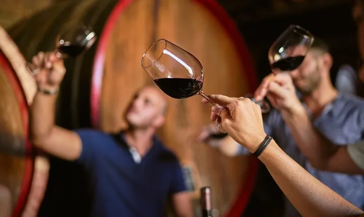Complete tasting of Castello di Bossi