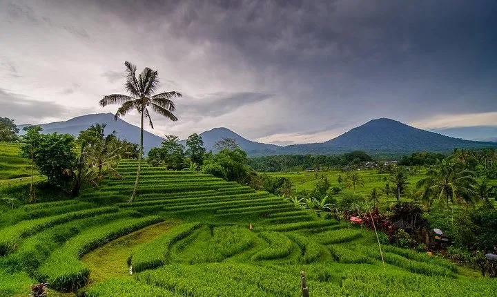 Private Chartered Car to Jatiluwih and Tanah Lot