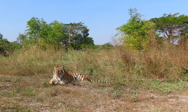 Tour of the Wildlife Rescue Center
