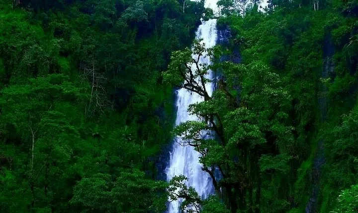 Materuni waterfall - coffee tour OR Chemka hot spring Tour