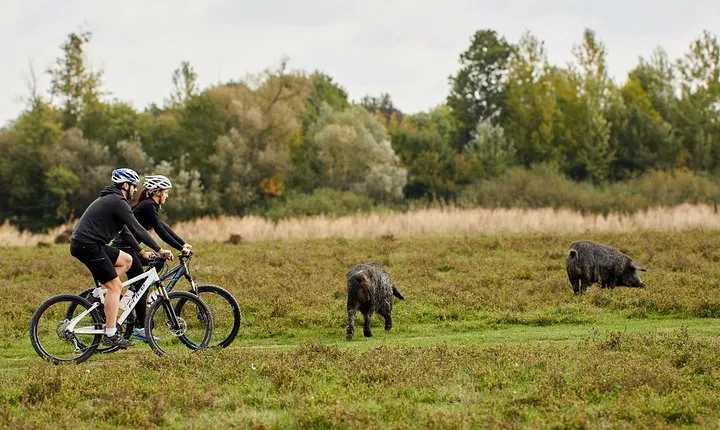 Zasavica Bike Tour