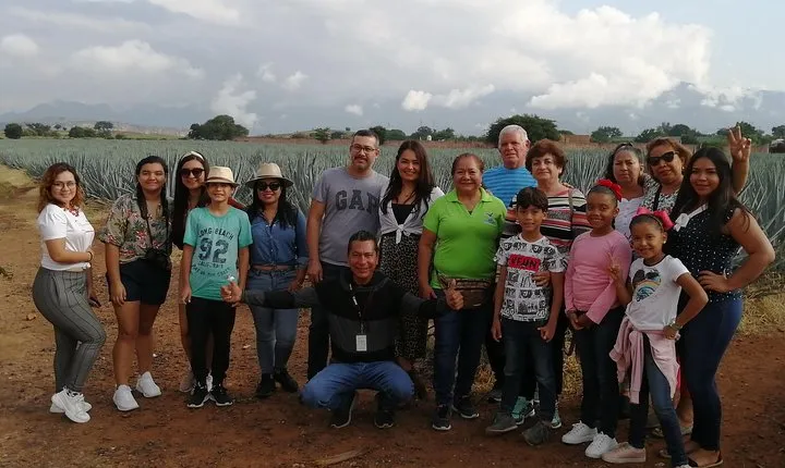 Great Experience With A Tour Guide With Spark